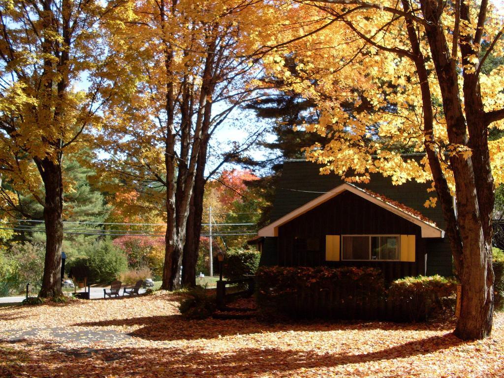 Amber Lantern Motel Lake George Kültér fotó